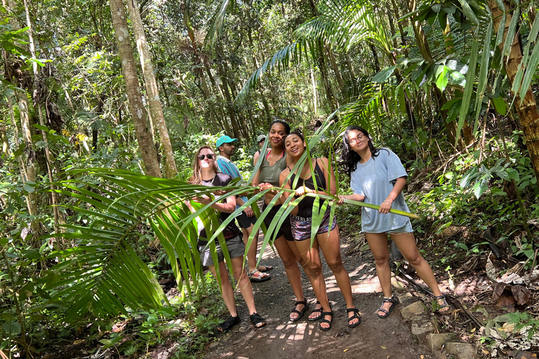 San Juan: El Yunque Regenwaldwanderung &amp; Luquillo BeachSan Juan: Wanderung durch den Regenwald El Yunque &amp; Luquillo Beach