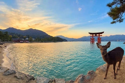 Miyajima Photo Walk | Floating Torii, Deer & Local Streets