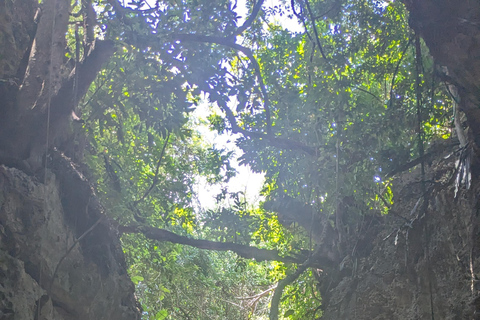 قرية ماكوندوتشي: جولة ثقافية وروحية مع وجبة غداءقرية ماكوندوتشي: جولة ثقافية وروحية مع الغداء