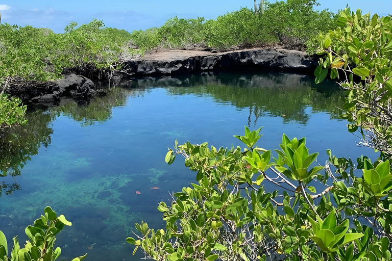 Explora Túneles Cabo Rosa en Isabela: Heldag med snorkling