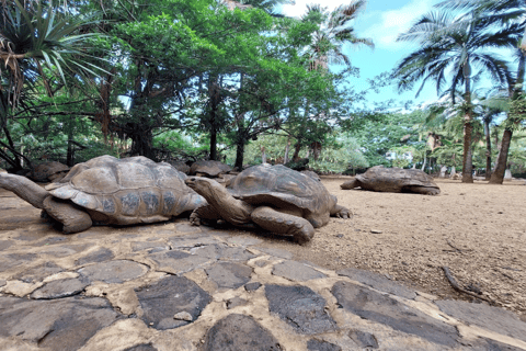 Complete South Tour of Mauritius incl. Giant Tortises