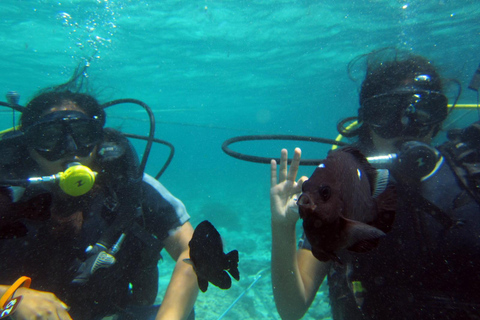 Bali: Scuba Diving For Beginner Experience