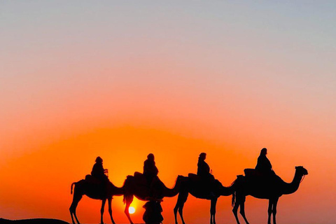 Dîner dans le désert d&#039;Agafay au départ de Marrakech et balade à dos de chameauDîner dans le désert d&#039;Agafay depuis Marrakech et promenade à dos de chameau