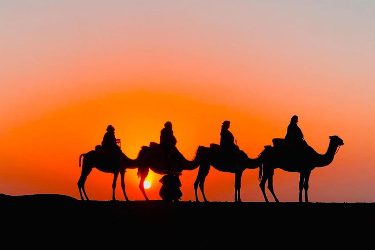 Dîner dans le désert d&#039;Agafay au départ de Marrakech et balade à dos de chameauDîner dans le désert d&#039;Agafay depuis Marrakech et promenade à dos de chameau