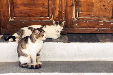 Spetses Island: Full Day Trip from Nafplio with Swimming