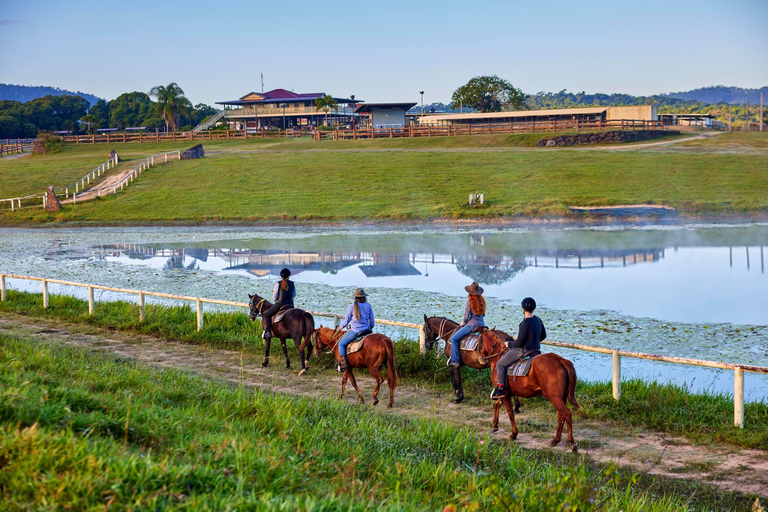 Halvdagstur till Kuranda med djurpark och ridturCairns: Kuranda Village Horse Ride och besök på djurparken