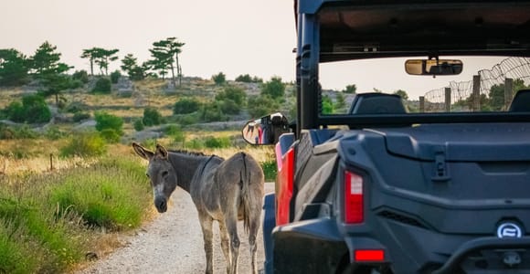 Hvar: 4-Seater Buggy, Scenic Viewpoints & Villages