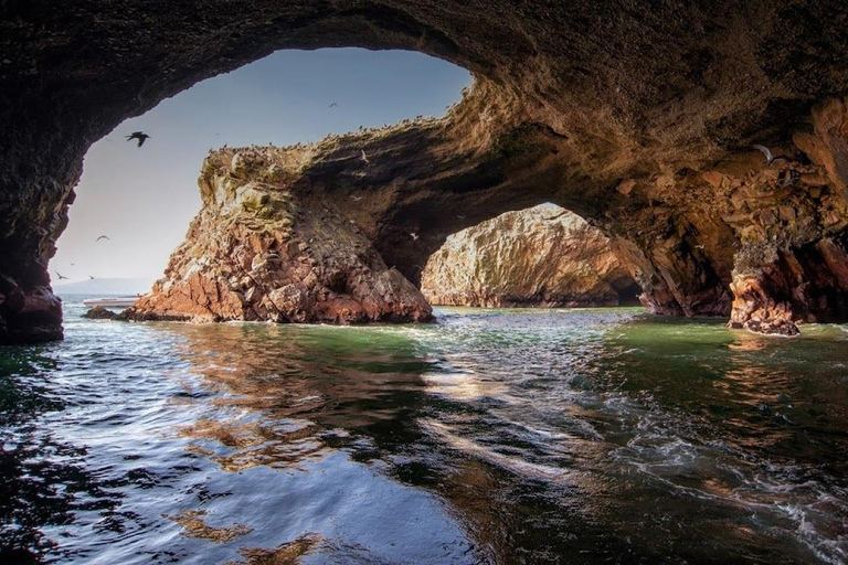 Lima: Trasferimento + Paracas + HuacachinaLima: Trasferimento + Paracas+ Huacachina