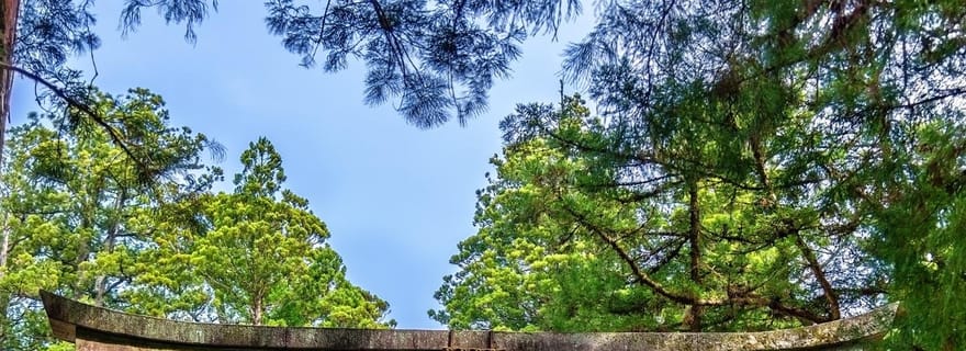 Depuis Tokyo : visite privative de Nikko, sanctuaire de Toshogu et chutes