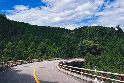 Tóquio: Onsen, Artes e Natureza Viagem de 1 dia para Fuji e HakoneExcursão em grupo em uma minivan