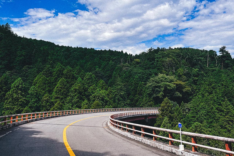 Tokio: Dagtrip Onsen, kunst en natuur naar Fuji en HakoneGroepsreis in een minibus