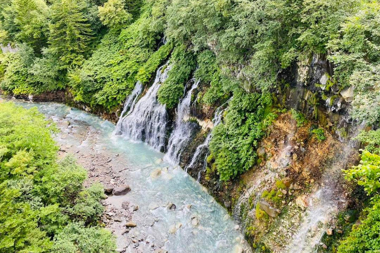 Sapporo: 2-Day Furano Lavender & Biei Blue Pond Summer Tour