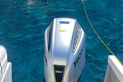Funchal: Private Catamaran Tour - With Open Bar & Snacks Sunset Tour with Snorkeling & Paddleboarding/ Max 18 people