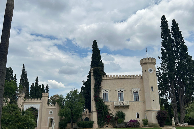 Athens: Athens Wine tour with Wine Tasting at local Winery Athens: Private Wine Estate Tour with Wine Tasting