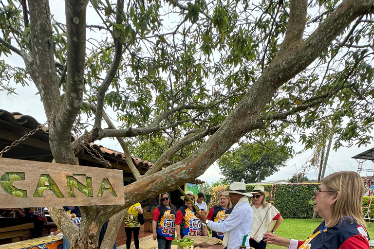 Coffee and Exotic Fruit Tour from Medellín with Lunch Coffee and Exotic Fruit Tour from Medellín with Lunch.