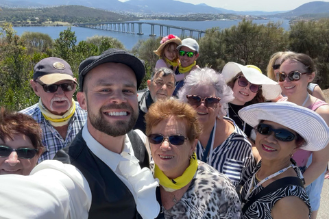 Hobart Highlights & Mount Wellington Shore Excursion
