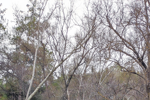 Paphos: Troodos Mountains Villages Tour with Wine Tasting