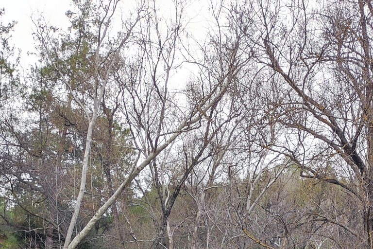 Paphos: Troodos Mountains Villages Tour with Wine Tasting