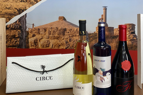 VALLADOLID: TOUR with a sommelier. Tasting of 3 wines + TAPAS.