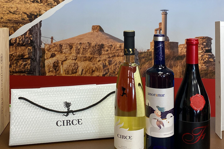 VALLADOLID: TOUR with a sommelier. Tasting of 3 wines + TAPAS.