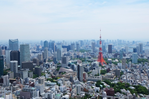 Tour privado de día completo para descubrir lo mejor de TokioTokio:Tour privado de un día por la ciudad-Descubre lo mejor de Tokio