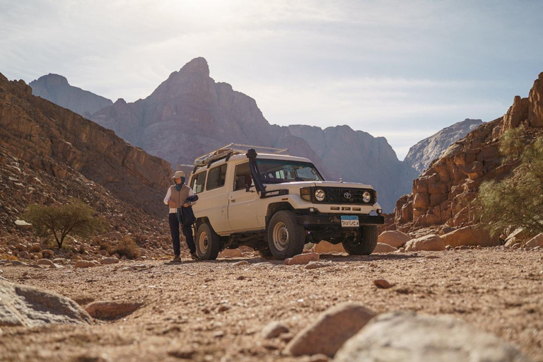 Hurghada Qattar Mountain Adventure: 4WD & Stargazing Hurghada: Gattar Mountain,Off-Road & lunch