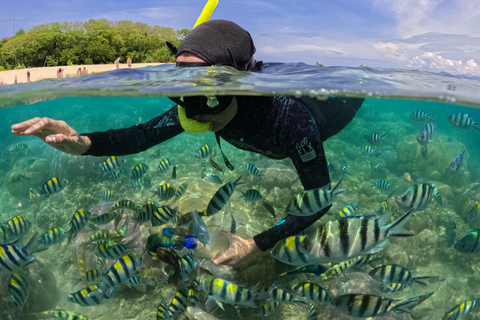 Lombok: Private Snorkeling Trip Gili Nanggu,Kedis,Tangkong Lombok: Private Gili Islands Snorkeling Trip with Lunch