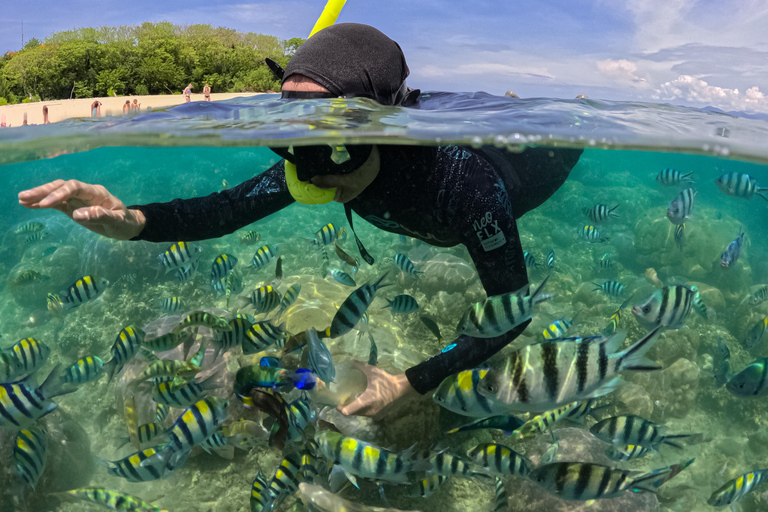Lombok: Private Snorkeling Trip Gili Nanggu,Kedis,Tangkong Lombok: Private Gili Islands Snorkeling Trip For Big Group