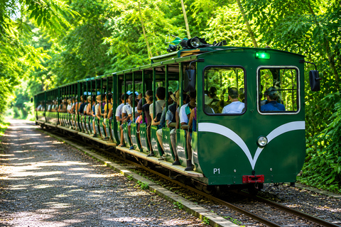 Full-Day Tour of the Falls from Brazil and Argentina, and Macuco Safari