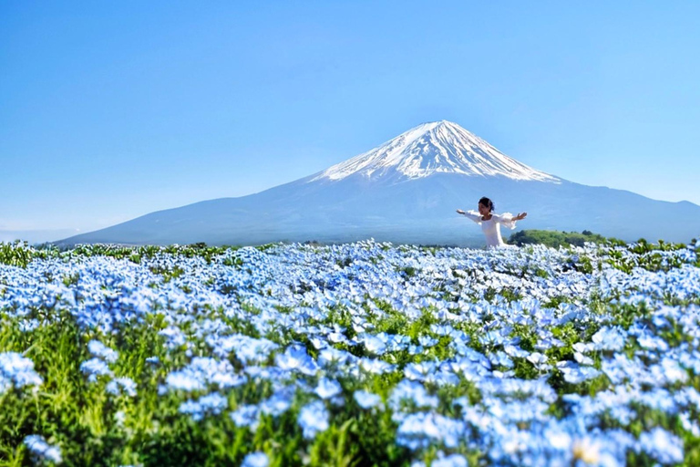 Tokyo: Mount Fuji Instagram Highlights Day Trip (6 Views) 08:00 | Meet at Shinjuku West Exit, SMBC