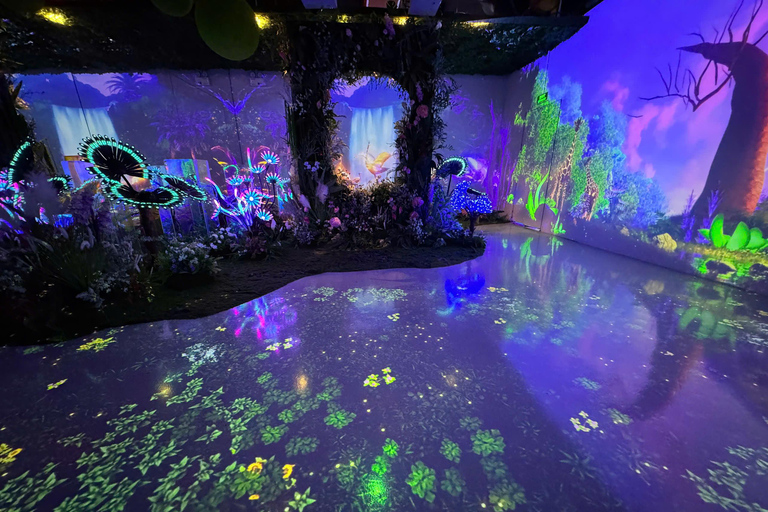 Hanoi: X Space Immersive Digital Art Experience Entry Ticket
