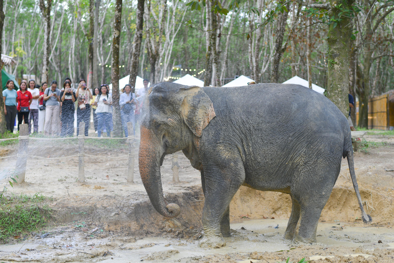 Programme de nuit au Sanctuaire éthique des éléphants de Khaolak