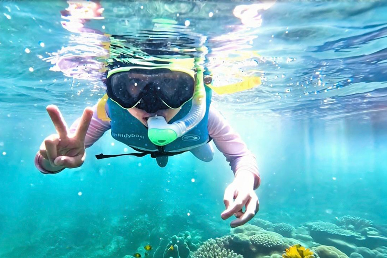 Hong Kong Geopark: Volcano Sightseeing & Hidden Coral Snorkeling Experience (Private) Volcano Sightseeing & Snorkelling Experience