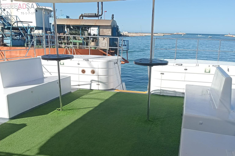 Valencia: Crociera in catamarano al tramonto o diurna con bevandeValencia: Crociera diurna in catamarano con drink