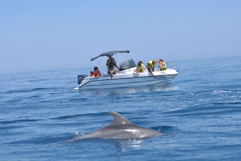 Djerba: Jet Ski and Boat Dolphin Watching Excursions For the Jet Ski Dolphin Watching Excursion (60 min)