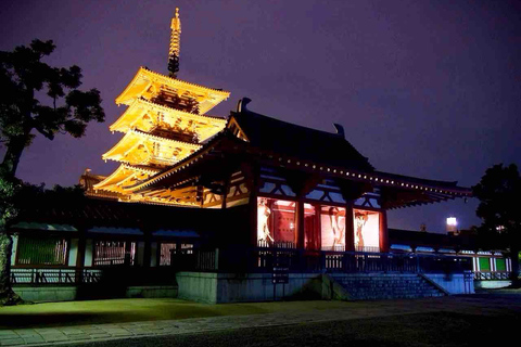 Osaka: Private Full-Day Tour with Hotel Pickup