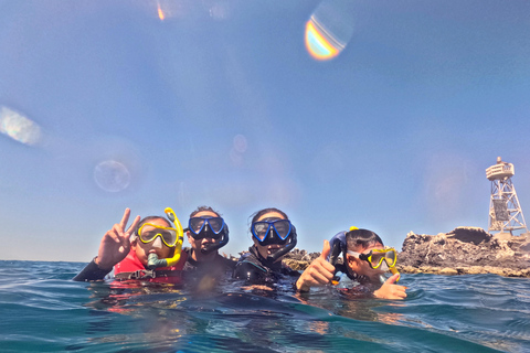 La Paz: Sea Lions & Mega-Paddleboard Tour in Balandra
