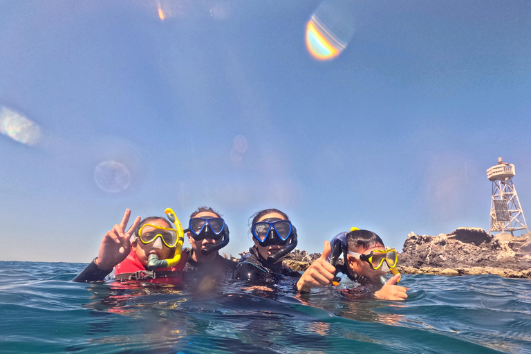 La Paz: Sea Lions & Mega-Paddleboard Tour in Balandra