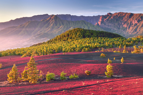 La Palma: New Tajogaite Volcano + Sunset with Picnic New Tajogaite Volcano + Sunset with a Picnic