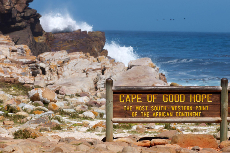 Cidade do Cabo: Excursão particular de 1 dia à Península do Cabo com guia local