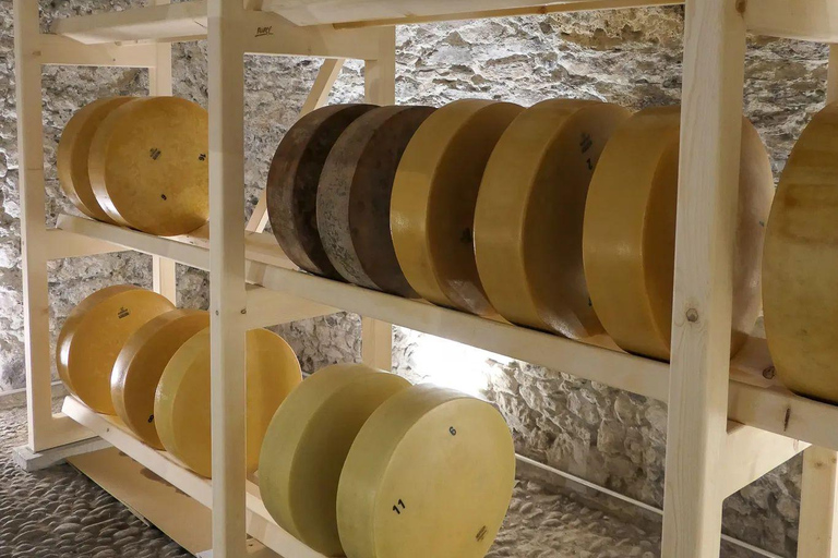 Alp Sbrinz Cheese Tasting – The Gold of the Alps