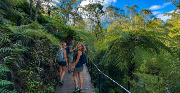 Sydney: Blue Mountains 3 Scenic Walks Ultimate Guided Tour