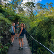 Sydney: Blue Mountains 3 Scenic Walks Ultimate Guided Tour