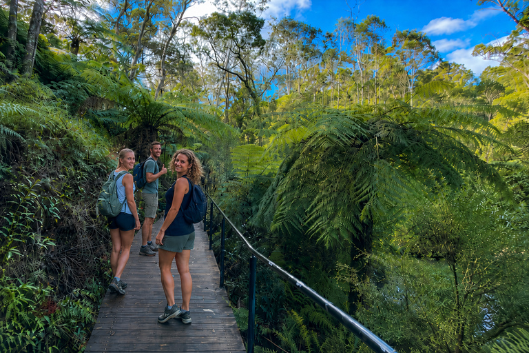 Sydney: Blue Mountains 3 Scenic Walks Ultimate Guided Tour Shared Tour, Meet at Furama Darling Harbour