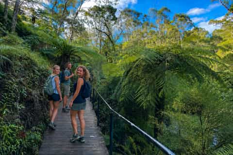 Sydney: Blue Mountains 3 Scenic Walks Ultimate Guided Tour - Image 3
