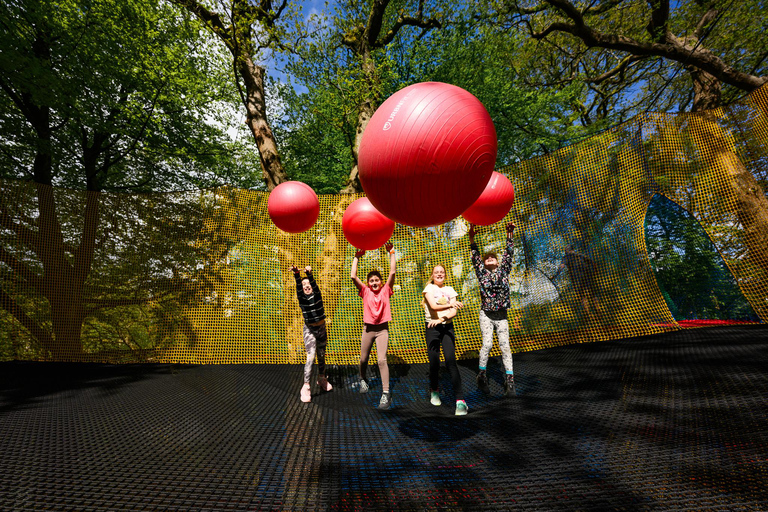 Windermere: Treetop bouncy nets (Treetop Nets)