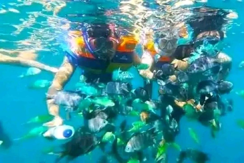 Excursión de un día Excursión de snorkel Gili Layar/Gili Gede&amp;Gili Rengit