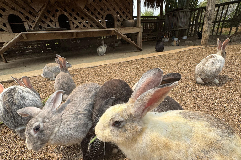 Luang Prabang: excursión a una granja y aventura con bufé de búfalo