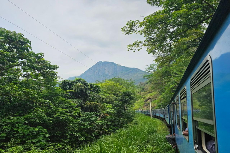 Kandy: Temple of Tooth, Train Ride, & Cave Waterfall Tour