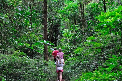 Sinharaja Rainforest Trekking Private Day Trip with Lunch Pick up from Hikkaduwa/Rathgama/Galle/Unawatuna/Talpe